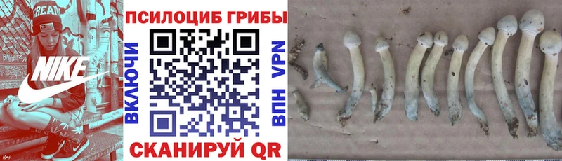 площадка официальный сайт  Кинель  Галлюциногенные грибы MAGIC MUSHROOMS 